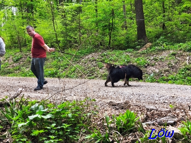 22.4.2025 - Howard auf der Hochstraße